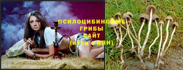 ECSTASY Армянск