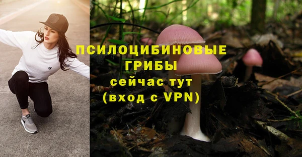 дмт Аркадак