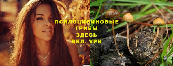 ECSTASY Армянск