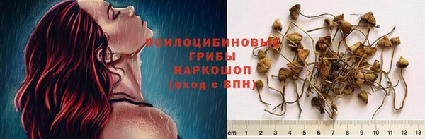 дмт Аркадак