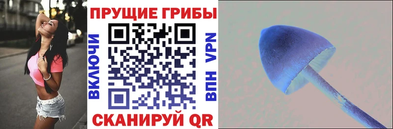 Галлюциногенные грибы мицелий  где можно купить   Белогорск 